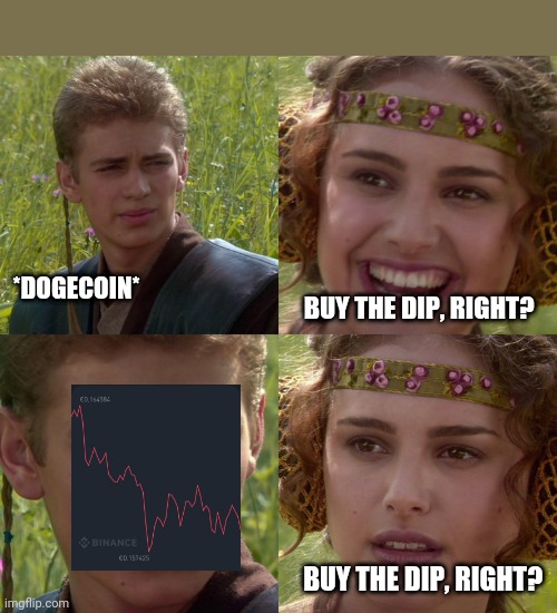 Buy the dip | *DOGECOIN*; BUY THE DIP, RIGHT? BUY THE DIP, RIGHT? | image tagged in anakin padme 4 panel | made w/ Imgflip meme maker