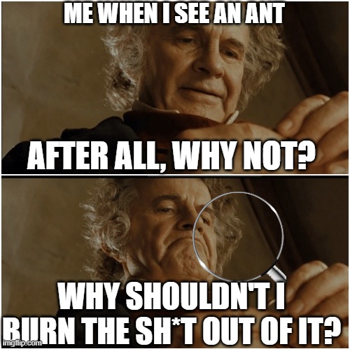 Bilbo - Why shouldn’t I keep it? | ME WHEN I SEE AN ANT; AFTER ALL, WHY NOT? WHY SHOULDN'T I BURN THE SH*T OUT OF IT? | image tagged in bilbo - why shouldn t i keep it | made w/ Imgflip meme maker