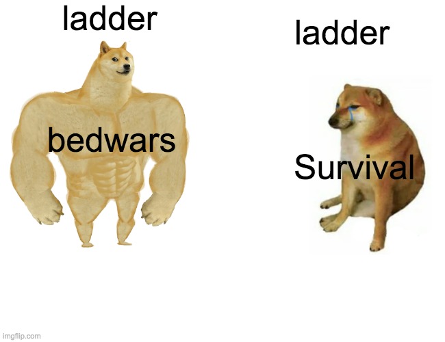 Ladders | ladder; ladder; bedwars; Survival | image tagged in memes,buff doge vs cheems | made w/ Imgflip meme maker