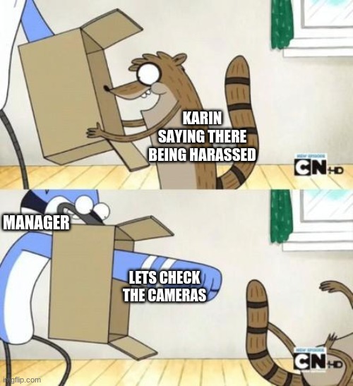 Mordecai Punches Rigby Through a Box | KARIN SAYING THERE BEING HARASSED; MANAGER; LETS CHECK THE CAMERAS | image tagged in mordecai punches rigby through a box | made w/ Imgflip meme maker