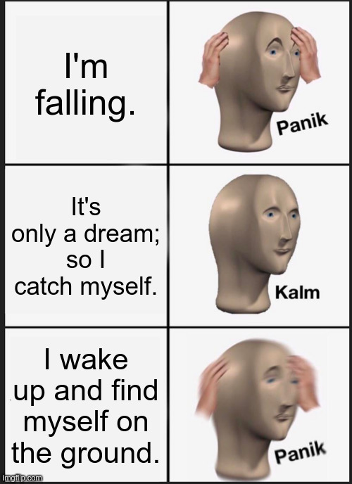Relatable, relatable. | I'm falling. It's only a dream; so I catch myself. I wake up and find myself on the ground. | image tagged in memes,panik kalm panik | made w/ Imgflip meme maker