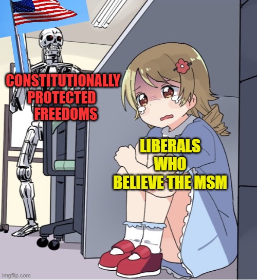 Freedom isn't a four letter word | CONSTITUTIONALLY PROTECTED    FREEDOMS; LIBERALS WHO BELIEVE THE MSM | image tagged in anime girl hiding from terminator,constitution,political meme,msm lies,liberals,freedom | made w/ Imgflip meme maker