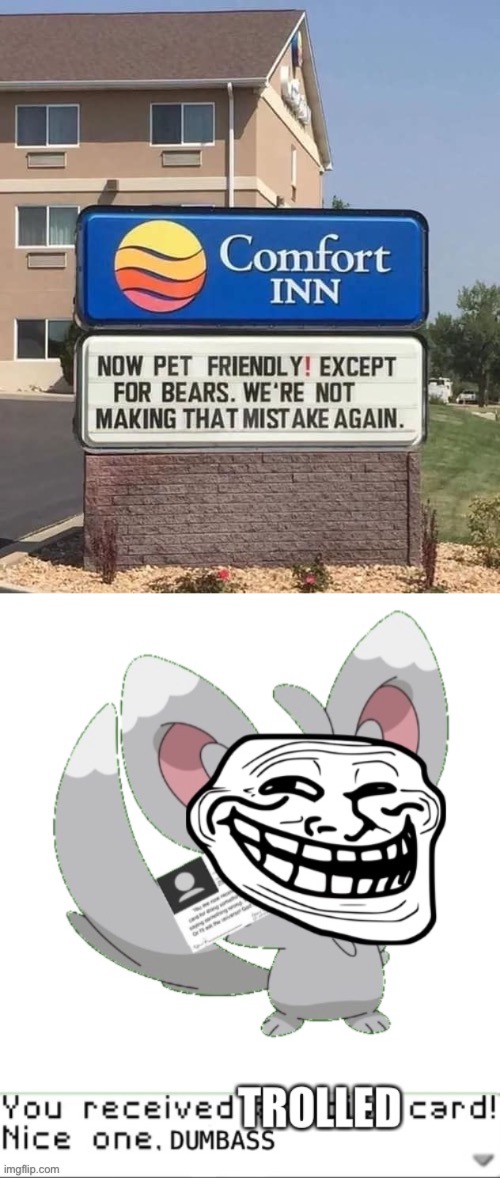 Pet Friendly but bears got trolled! | image tagged in you received trolled card,funny,memes,funny signs,hotel,bears | made w/ Imgflip meme maker