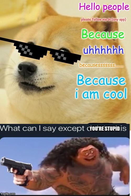Dude that doesn't mean i am going to follow you |  Hello people; please follow me in (any app); Because; uhhhhhh; becausesssssss....... Because i am cool; YOU'RE STUPID | image tagged in memes,doge,followers,ask | made w/ Imgflip meme maker