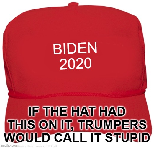 Picture every single thing MAGA has done, and replace them with Biden supporters. You see what you look like then? | BIDEN 2020; IF THE HAT HAD THIS ON IT, TRUMPERS WOULD CALL IT STUPID | image tagged in blank red maga hat | made w/ Imgflip meme maker