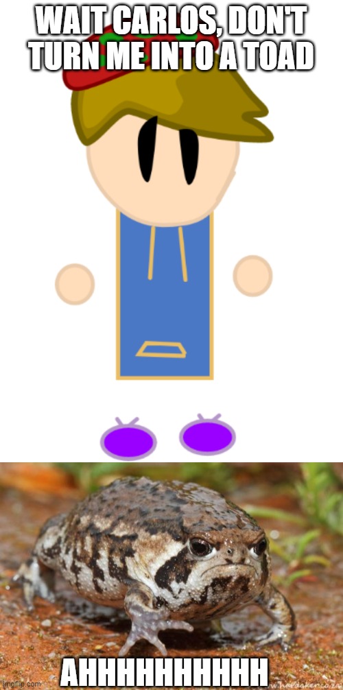 WAIT CARLOS, DON'T TURN ME INTO A TOAD AHHHHHHHHHH | image tagged in memes,grumpy toad | made w/ Imgflip meme maker