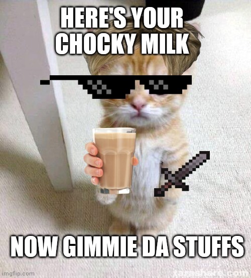 Cute Cat | HERE'S YOUR CHOCKY MILK; NOW GIMMIE DA STUFFS | image tagged in memes,cute cat | made w/ Imgflip meme maker