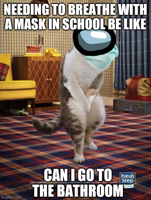 Gotta Go Cat | NEEDING TO BREATHE WITH A MASK IN SCHOOL BE LIKE; CAN I GO TO THE BATHROOM | image tagged in memes,gotta go cat | made w/ Imgflip meme maker