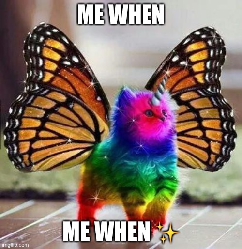 e | ME WHEN; ME WHEN ✨ | image tagged in rainbow unicorn butterfly kitten | made w/ Imgflip meme maker