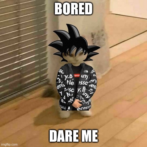 BORED; DARE ME | made w/ Imgflip meme maker
