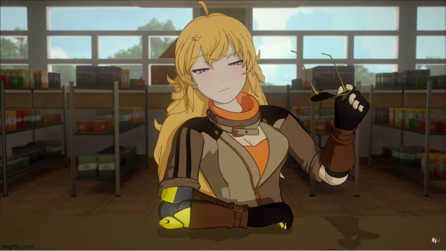 Yang's Puns | image tagged in yang's puns | made w/ Imgflip meme maker