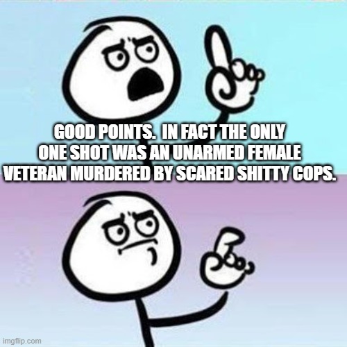 Good Point | GOOD POINTS.  IN FACT THE ONLY ONE SHOT WAS AN UNARMED FEMALE VETERAN MURDERED BY SCARED SHITTY COPS. | image tagged in good point | made w/ Imgflip meme maker