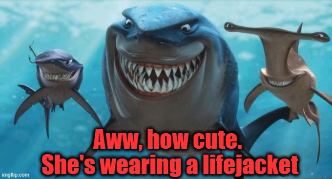 Finding Nemo Sharks | Aww, how cute.  She's wearing a lifejacket | image tagged in finding nemo sharks | made w/ Imgflip meme maker