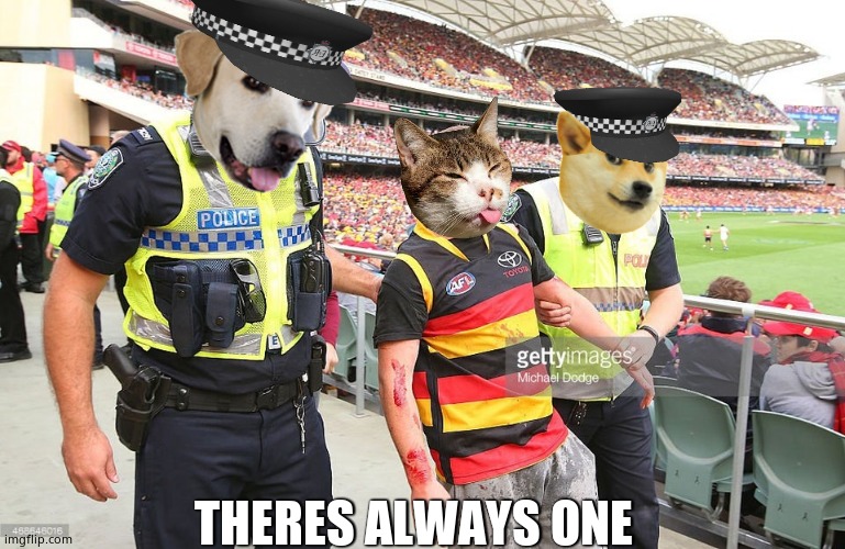 Theres always one cat wanting to fight. | THERES ALWAYS ONE | image tagged in memes,cats and dogs,football,police,funny memes,fun | made w/ Imgflip meme maker