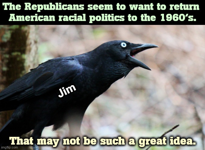 Actions have consequences. | The Republicans seem to want to return 

American racial politics to the 1960's. Jim; That may not be such a great idea. | image tagged in republicans,racists | made w/ Imgflip meme maker