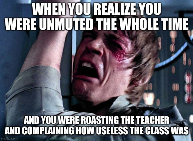 This never happened to me but it sounds very scary | WHEN YOU REALIZE YOU WERE UNMUTED THE WHOLE TIME; AND YOU WERE ROASTING THE TEACHER AND COMPLAINING HOW USELESS THE CLASS WAS | image tagged in nooo | made w/ Imgflip meme maker