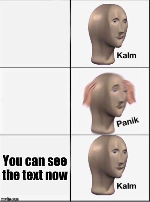 Reverse kalm panik | You can see the text now | image tagged in reverse kalm panik | made w/ Imgflip meme maker