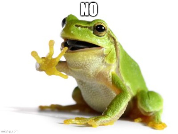 How 'bout no frog | NO | image tagged in how 'bout no frog | made w/ Imgflip meme maker