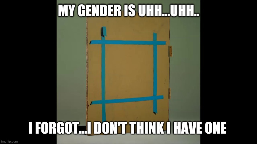 The joke is about how non-binarys don't truly have a gender | MY GENDER IS UHH...UHH.. I FORGOT...I DON'T THINK I HAVE ONE | image tagged in everywhere at the end of time | made w/ Imgflip meme maker