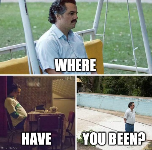 Sad Pablo Escobar Meme | WHERE HAVE YOU BEEN? | image tagged in memes,sad pablo escobar | made w/ Imgflip meme maker