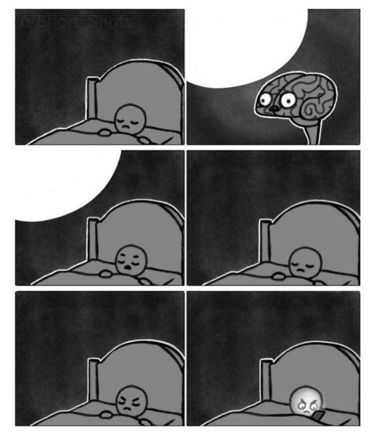 Brain bed Blank Meme Template