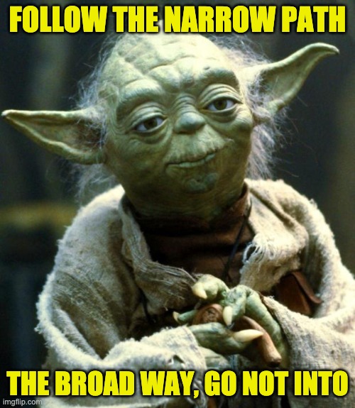 Star Wars Yoda | FOLLOW THE NARROW PATH; THE BROAD WAY, GO NOT INTO | image tagged in memes,star wars yoda | made w/ Imgflip meme maker