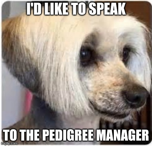 Karen Doggo | I'D LIKE TO SPEAK; TO THE PEDIGREE MANAGER | image tagged in karen doggo | made w/ Imgflip meme maker