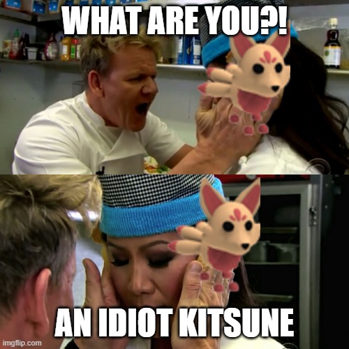 an Kitsune from ADOPT ME! | WHAT ARE YOU?! AN IDIOT KITSUNE | image tagged in gordon ramsay idiot sandwich,adopt me | made w/ Imgflip meme maker