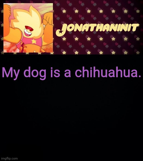 jonathaninit but he's holding it down | My dog is a chihuahua. | image tagged in jonathaninit but he's holding it down | made w/ Imgflip meme maker