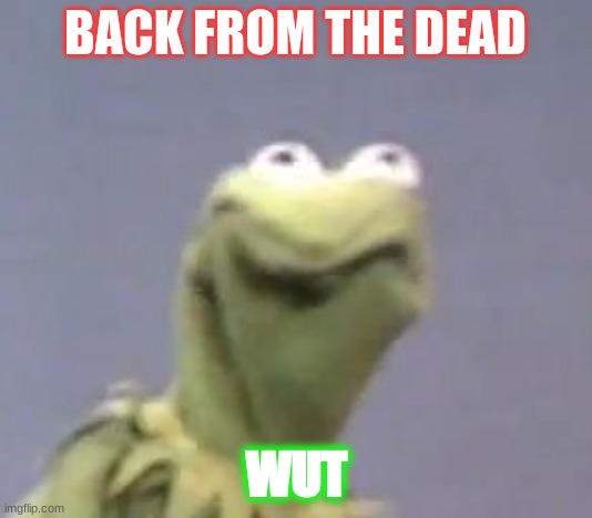 kermit the from ded | BACK FROM THE DEAD; WUT | image tagged in kermit the from ded | made w/ Imgflip meme maker
