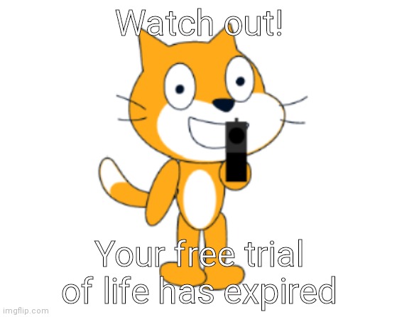 Your free trial of life has expired | Watch out! Your free trial of life has expired | image tagged in scratch cat gun,scratch,gun,your free trial of living has ended,memes,funny memes | made w/ Imgflip meme maker