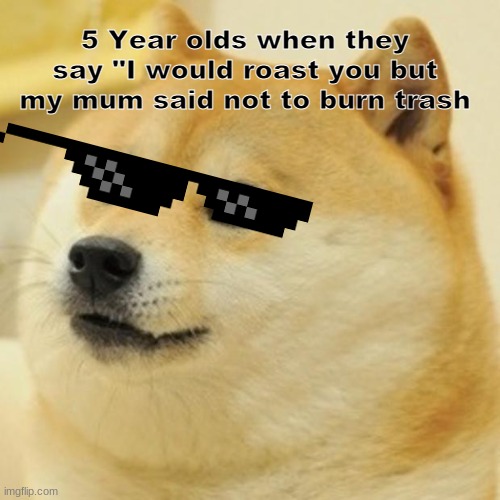 Roasted!1111 | 5 Year olds when they say "I would roast you but my mum said not to burn trash | image tagged in memes,doge | made w/ Imgflip meme maker