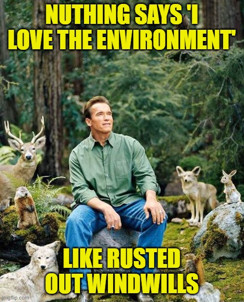 Arnold nature | NUTHING SAYS 'I LOVE THE ENVIRONMENT' LIKE RUSTED OUT WINDWILLS | image tagged in arnold nature | made w/ Imgflip meme maker