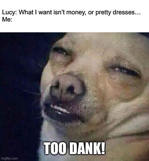 Too Dank | Lucy: What I want isn’t money, or pretty dresses…
Me: TOO DANK! | image tagged in too dank | made w/ Imgflip meme maker