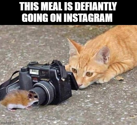 THIS MEAL IS DEFIANTLY GOING ON INSTAGRAM | made w/ Imgflip meme maker