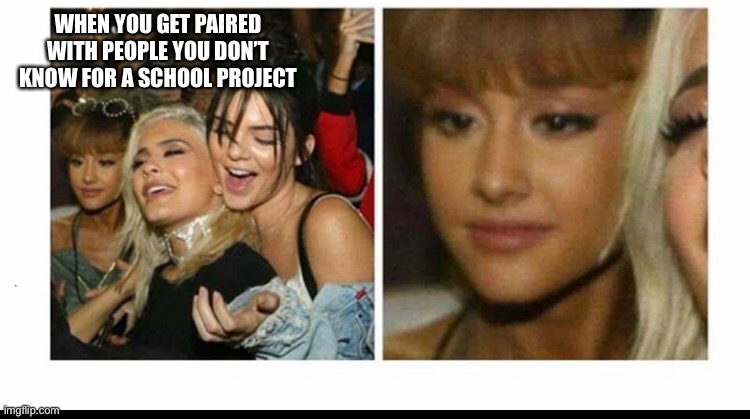 School projects be like | WHEN YOU GET PAIRED WITH PEOPLE YOU DON’T KNOW FOR A SCHOOL PROJECT | image tagged in memes | made w/ Imgflip meme maker