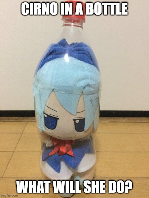 funny | CIRNO IN A BOTTLE; WHAT WILL SHE DO? | image tagged in cirno fumo in bottle,touhou | made w/ Imgflip meme maker