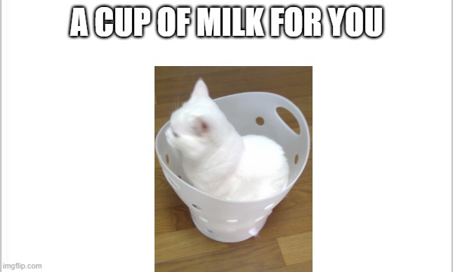 Milk | A CUP OF MILK FOR YOU | image tagged in white background,milk,cats,memes,cute cat,basket | made w/ Imgflip meme maker