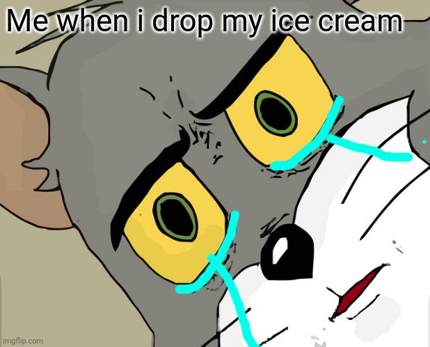 Unsettled Tom Meme | Me when i drop my ice cream | image tagged in memes,unsettled tom | made w/ Imgflip meme maker