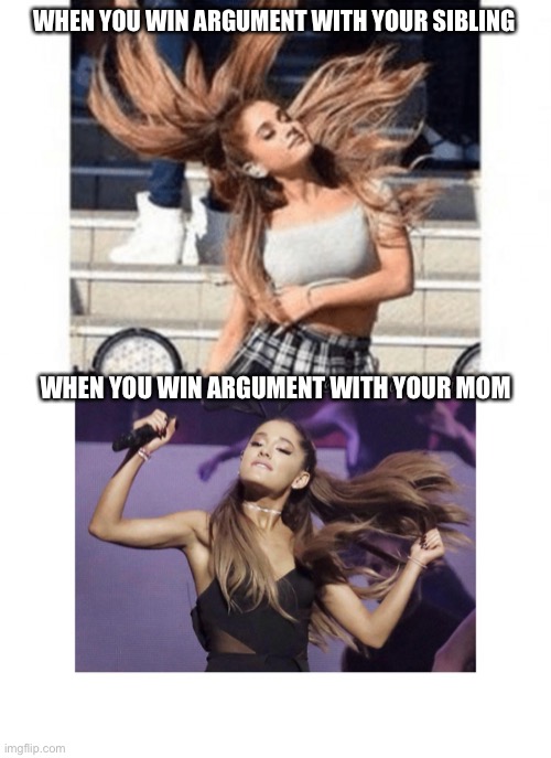 Winning arguments be like | WHEN YOU WIN ARGUMENT WITH YOUR SIBLING; WHEN YOU WIN ARGUMENT WITH YOUR MOM | image tagged in memes | made w/ Imgflip meme maker