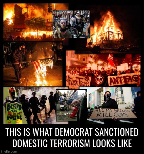 The Democrat Party itself IS a domestic terrorist organization! | image tagged in domestic terrorism,terrorists,treason,politics,political | made w/ Imgflip meme maker