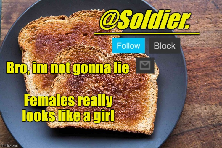 Soldier. Bread Temp | Bro, im not gonna lie; Females really looks like a girl | image tagged in soldier bread temp | made w/ Imgflip meme maker