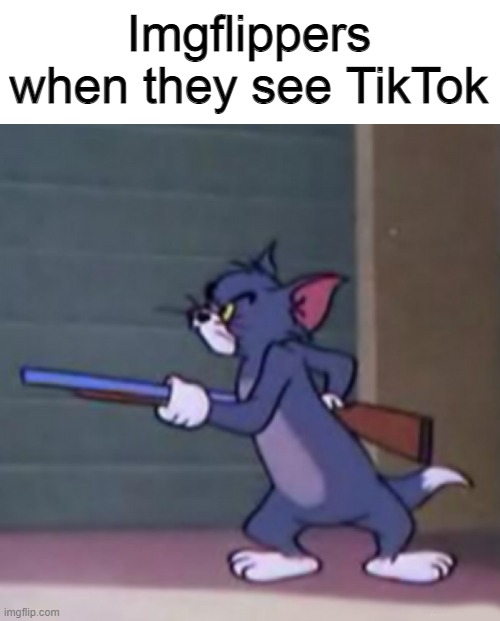 Imgflippers when they see TikTok | image tagged in tru | made w/ Imgflip meme maker
