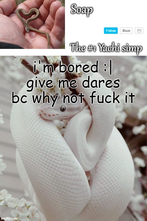 i'm bored :|
give me dares bc why not fuck it | image tagged in soap snake temp ty yachi | made w/ Imgflip meme maker