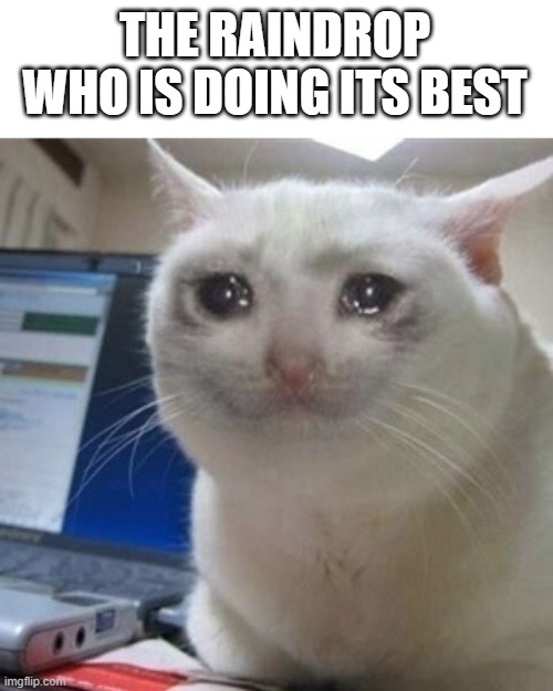 Crying cat | THE RAINDROP WHO IS DOING ITS BEST | image tagged in crying cat | made w/ Imgflip meme maker