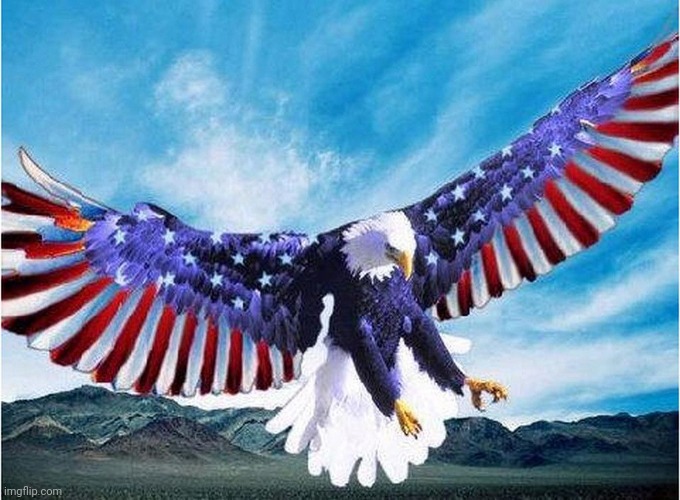 merica eagle | image tagged in merica eagle | made w/ Imgflip meme maker