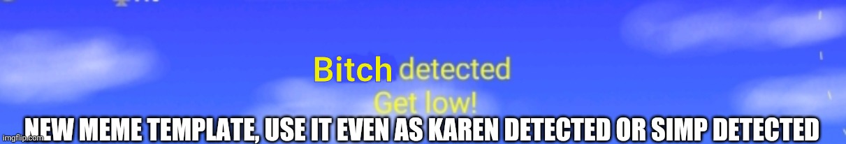 New meme template made by me as "b#tch detected get low, or Karen detected get low use it freely | Bitch; NEW MEME TEMPLATE, USE IT EVEN AS KAREN DETECTED OR SIMP DETECTED | image tagged in bitch detected get low | made w/ Imgflip meme maker
