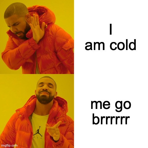 brrrrrr | I am cold; me go brrrrrr | image tagged in memes,drake hotline bling | made w/ Imgflip meme maker