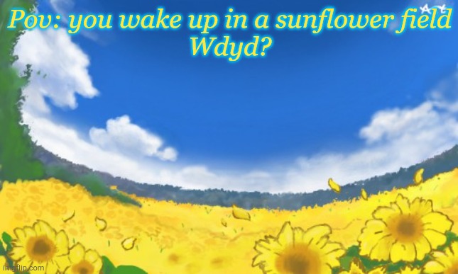 Pov: you wake up in a sunflower field
Wdyd? | made w/ Imgflip meme maker
