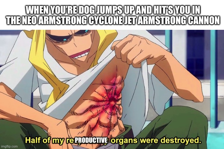 neo armstrong cyclone jet armstrong cannon | WHEN YOU’RE DOG JUMPS UP AND HIT’S YOU IN THE NEO ARMSTRONG CYCLONE JET ARMSTRONG CANNON; PRODUCTIVE | image tagged in gintama,my hero academia,all might,half of my respiratory organs were destroyed | made w/ Imgflip meme maker